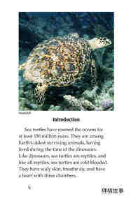 Sea Turtles绘本故事第3页