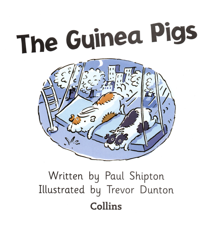 The Guinea Pigs绘本故事第2页