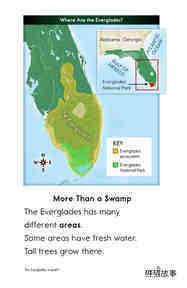 The Everglades绘本故事第4页