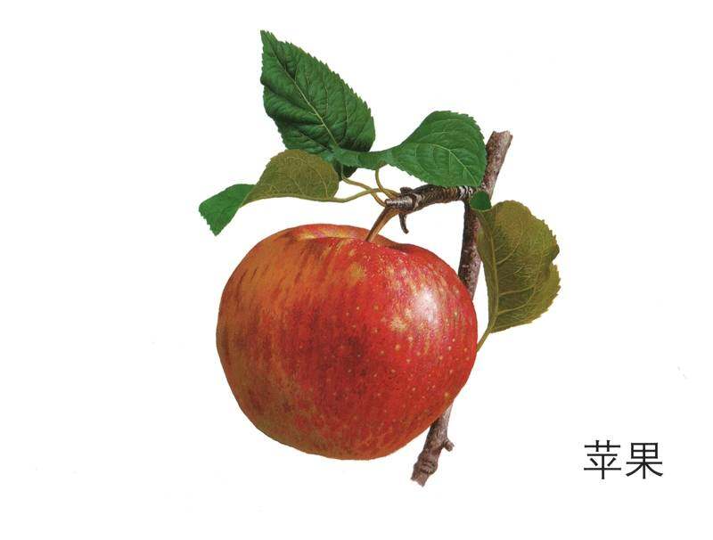 宝宝到底要什么绘本故事第3页