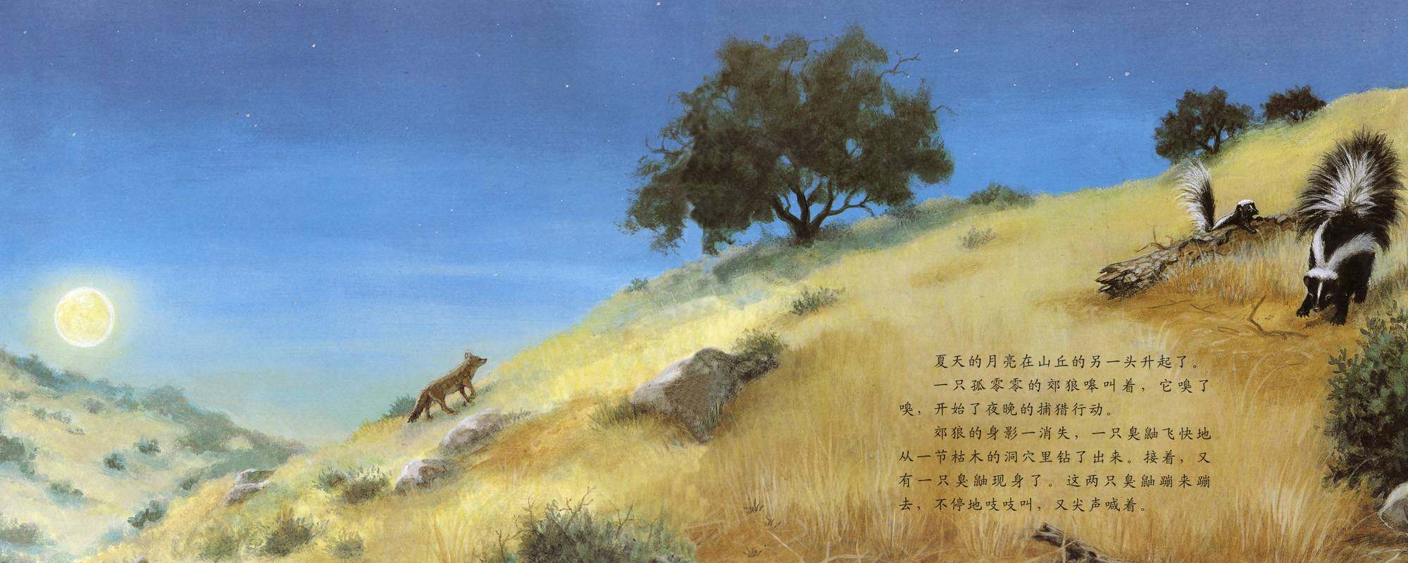 自然科学启蒙（第三辑）——夜行性动物躲在哪儿绘本故事第2页