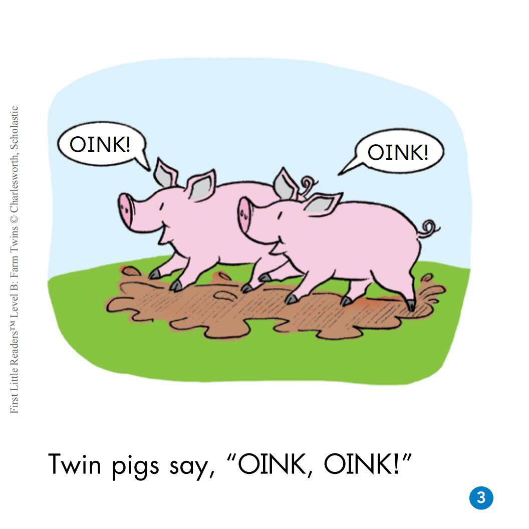 Farm Twins绘本故事第4页