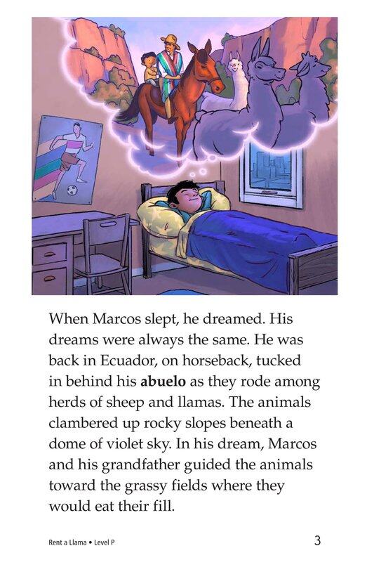 Rent a Llama绘本故事第3页