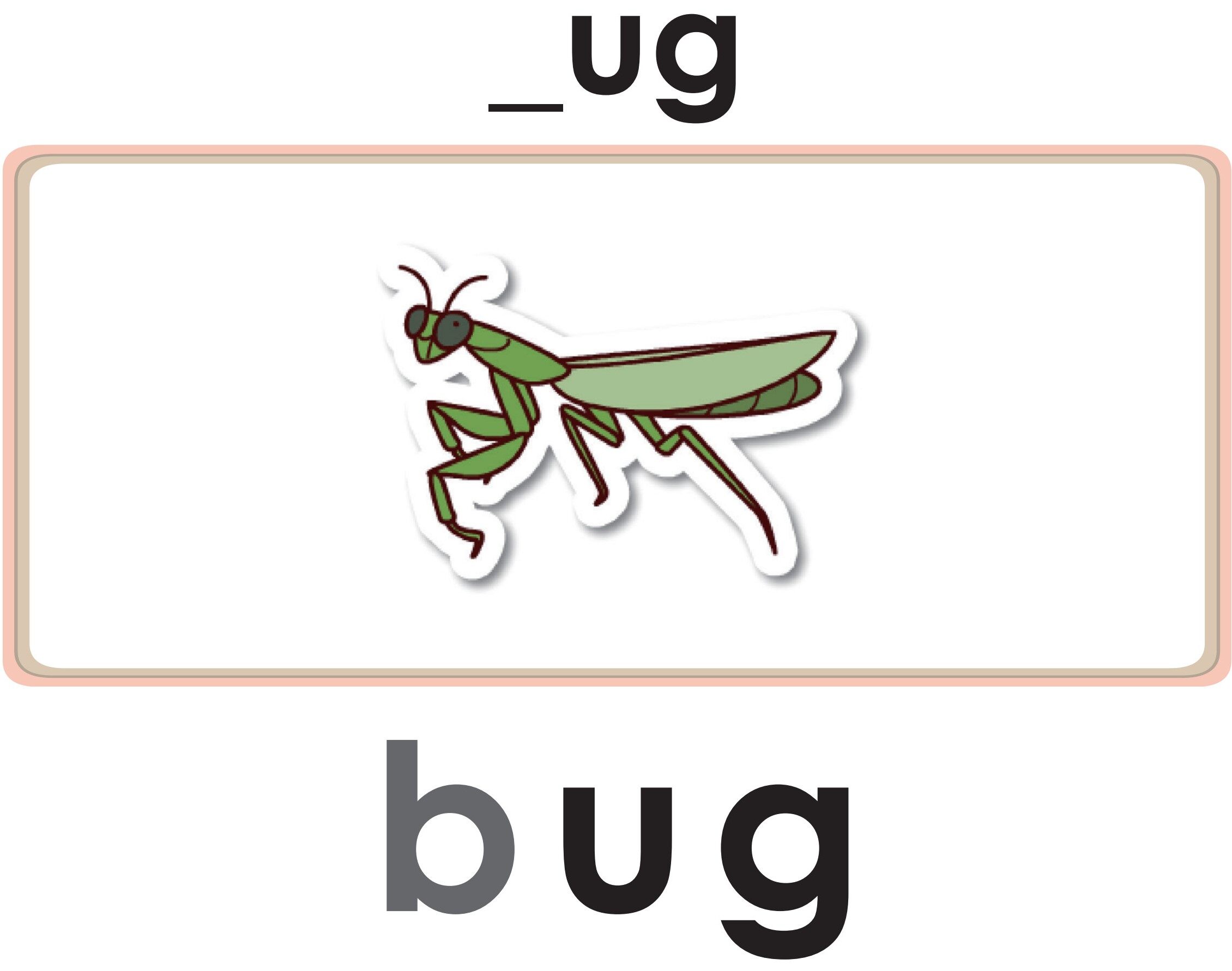 Pug Can Tug绘本故事第4页