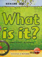 What is it