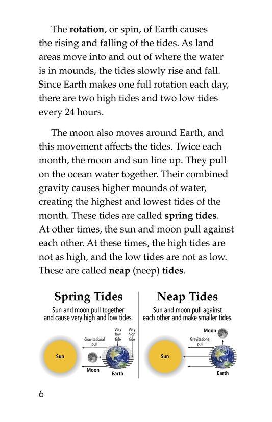 Exploring Tide Pools绘本故事第5页
