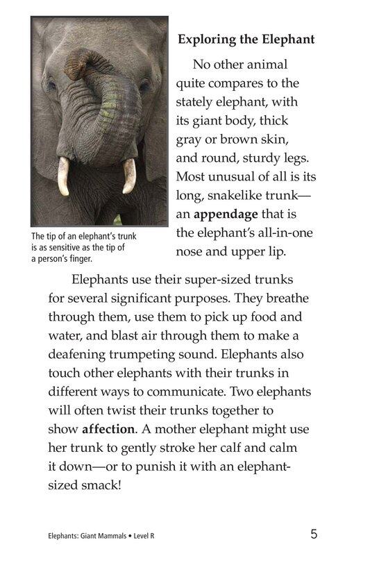 Elephants Giant Mammals绘本故事第4页