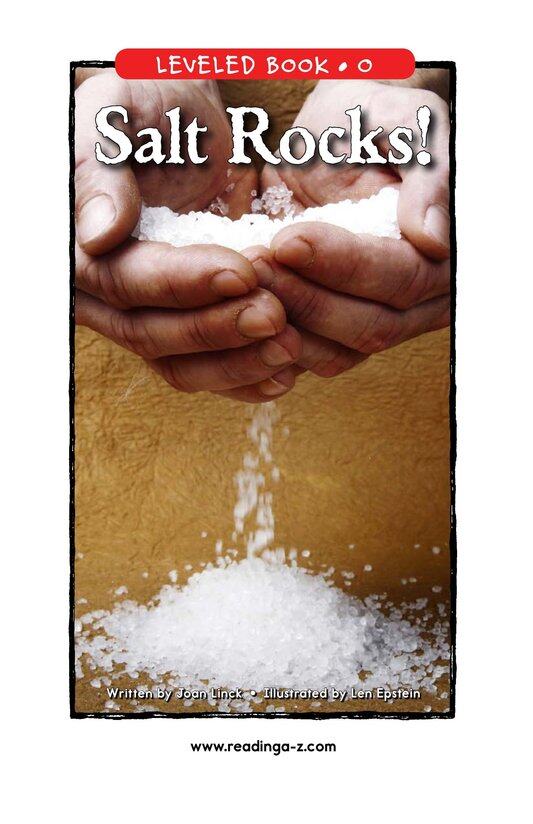 Salt Rocks!绘本故事第2页