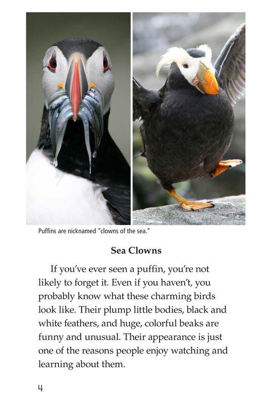 Puffins绘本故事第3页