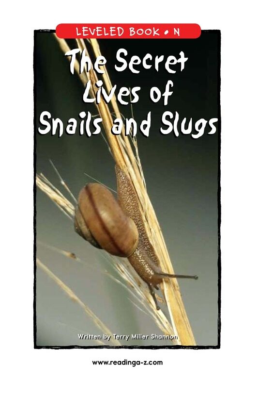 The Secret Lives of Snails and Slugs绘本故事第2页
