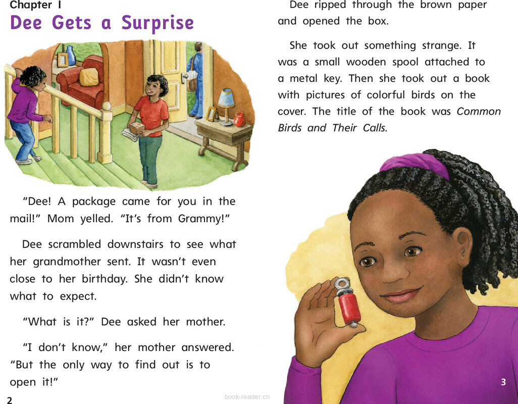 G1 Bey U5W4 Going on a Bird Walk绘本故事第4页