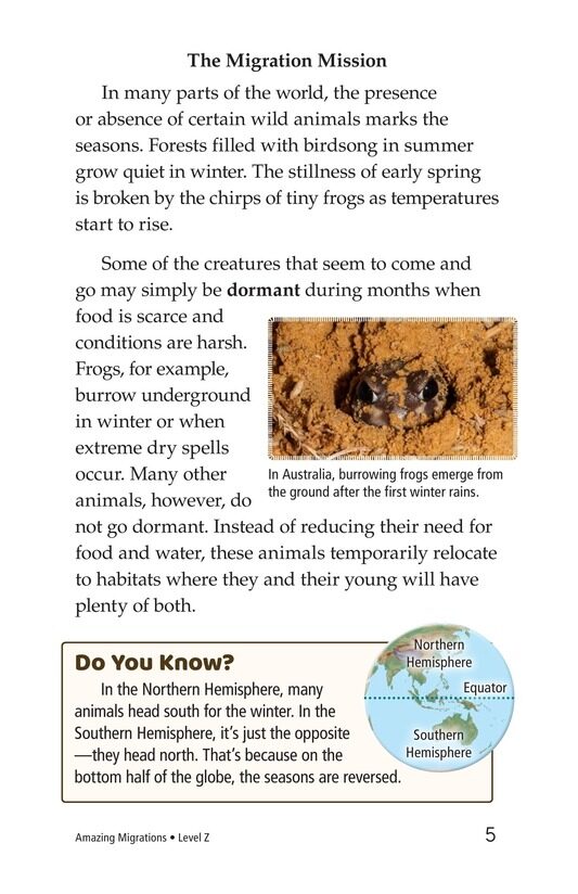 Amazing Migrations绘本故事第4页