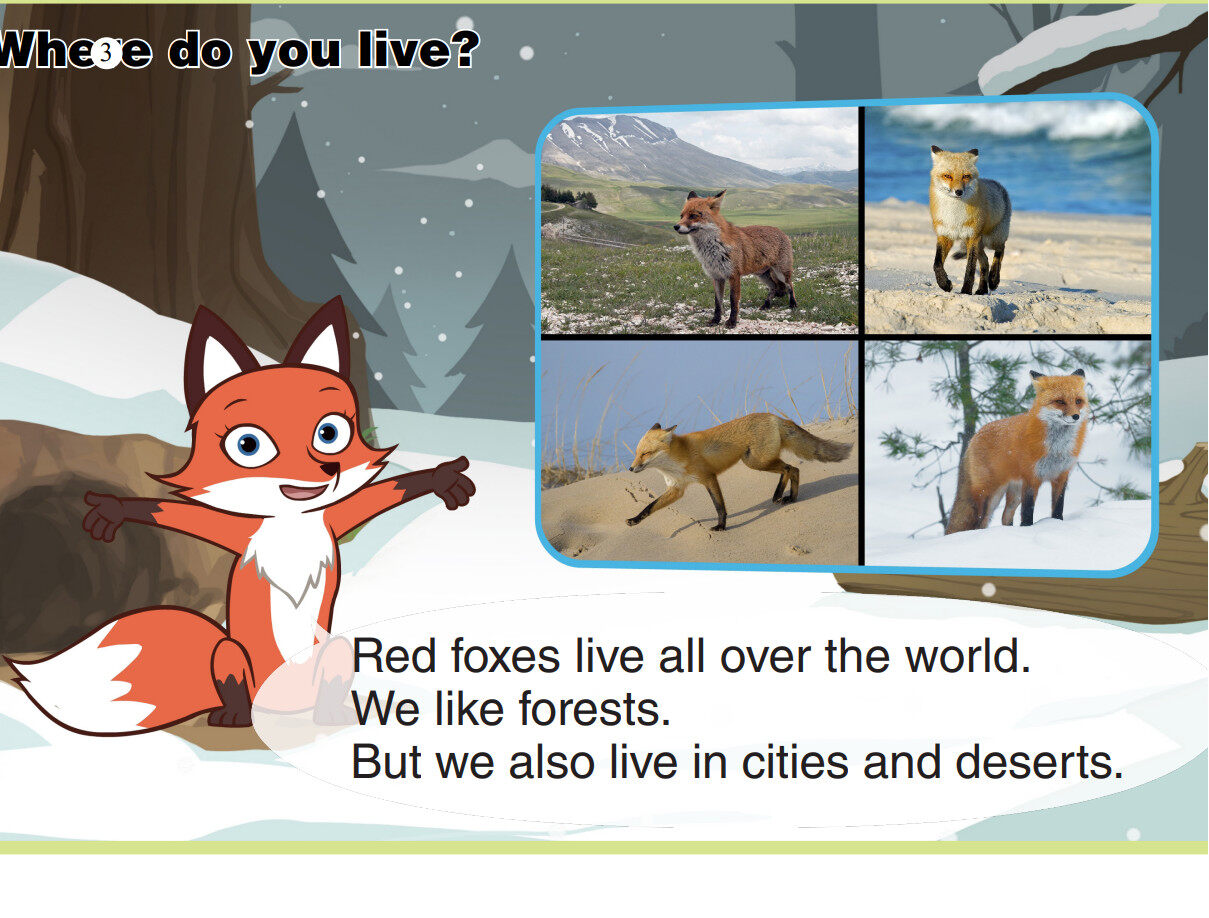 Red Fox绘本故事第4页