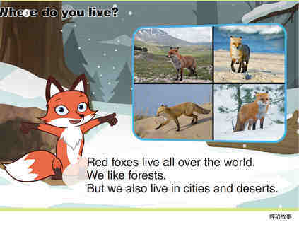 Red Fox绘本故事第4页