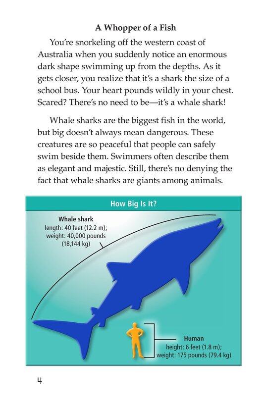 Whale Sharks Giant Fish绘本故事第3页