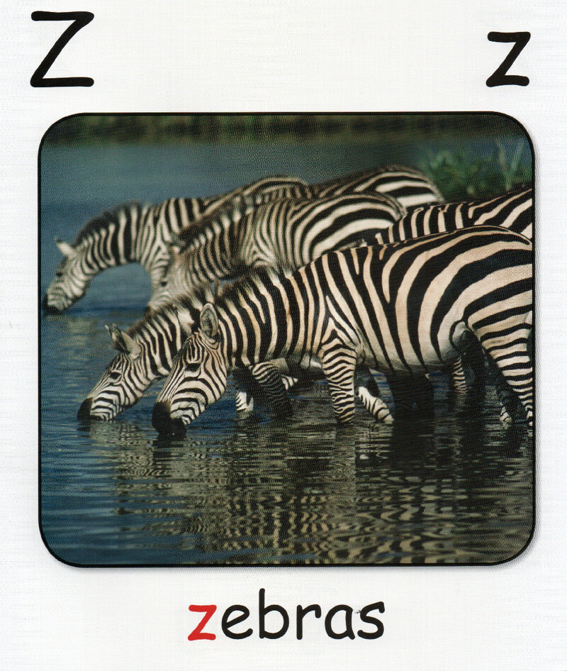 Z绘本故事第3页