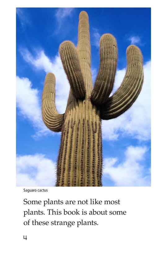 Strange Plants绘本故事第4页