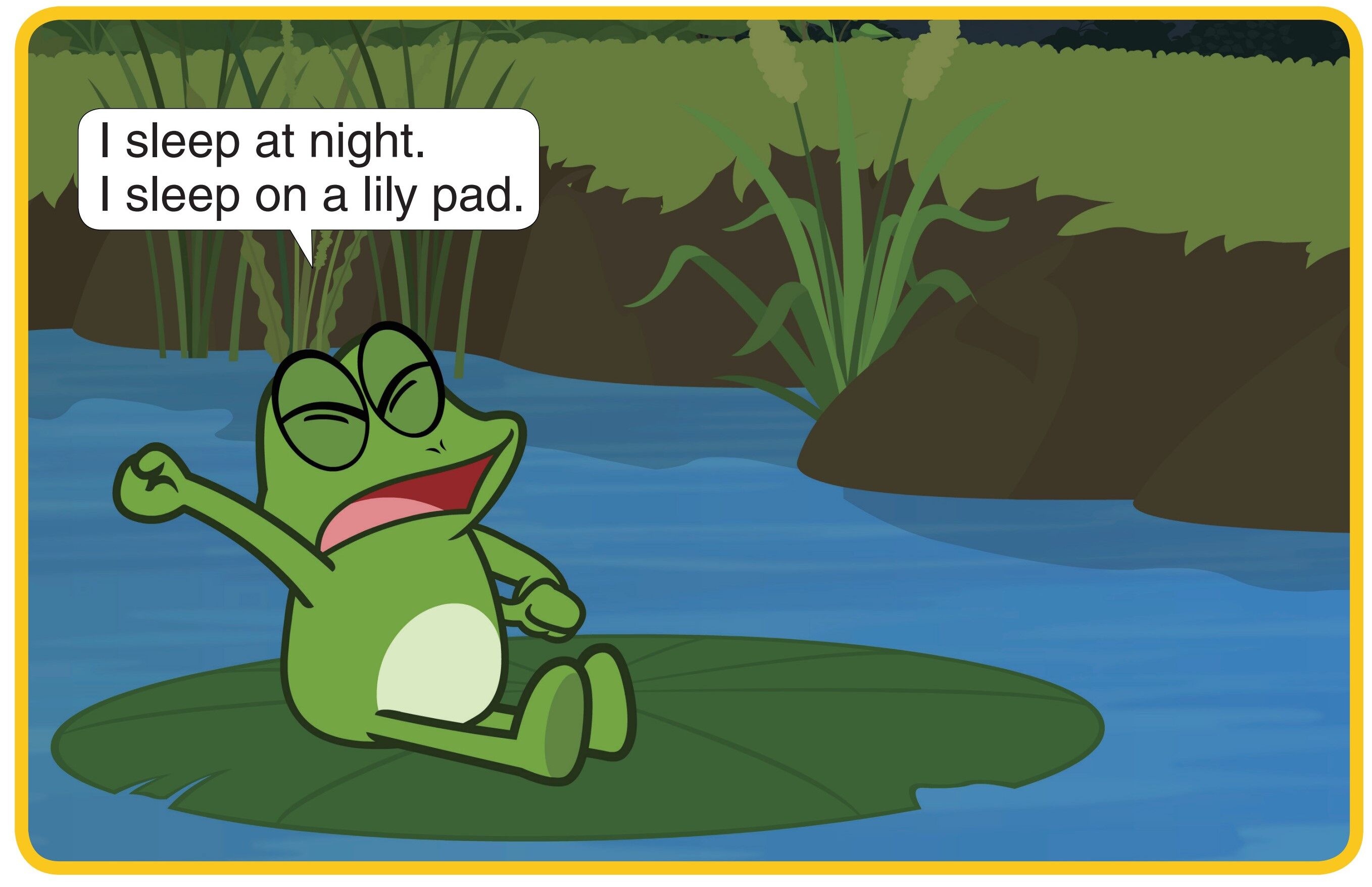 I Sleep at Night绘本故事第4页