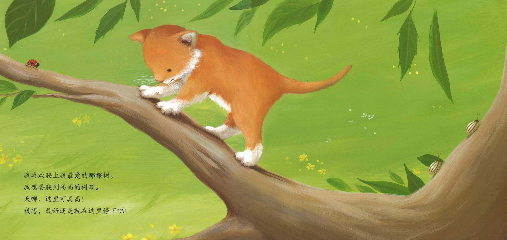 暖房子经典绘本系列·第一辑·亲情篇：妈妈的吻绘本故事第4页