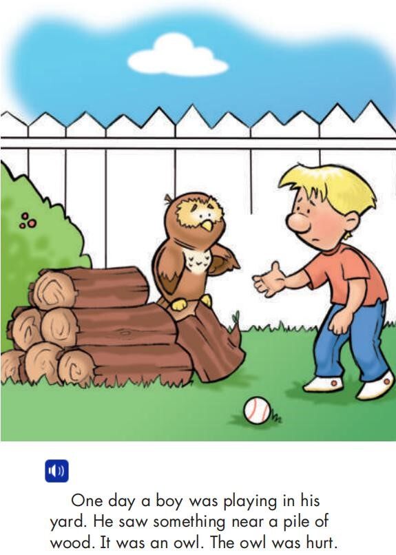 Fly Away绘本故事第3页