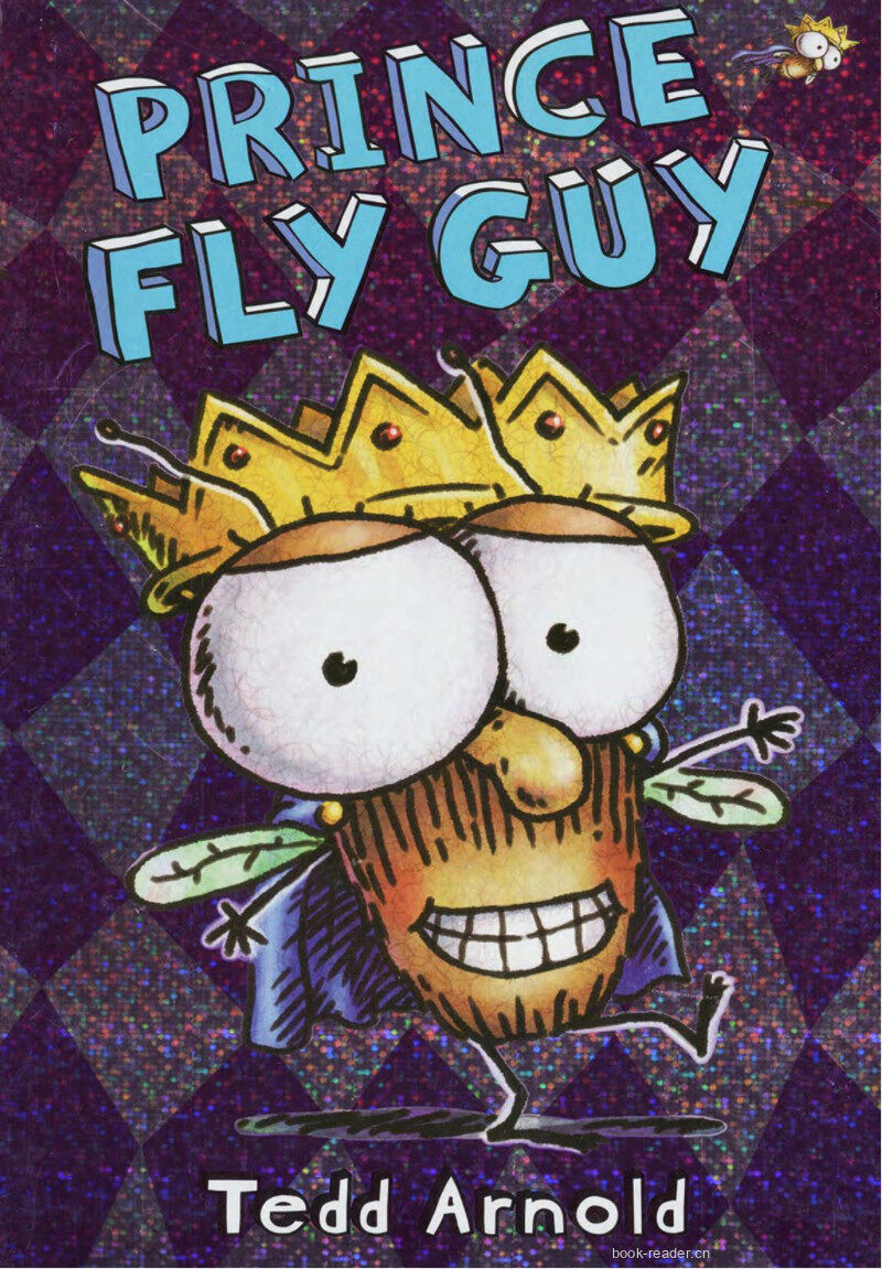Prince Fly Guy绘本故事第2页