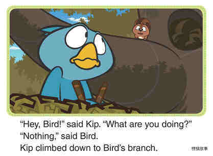 Bird's Secret绘本故事第4页