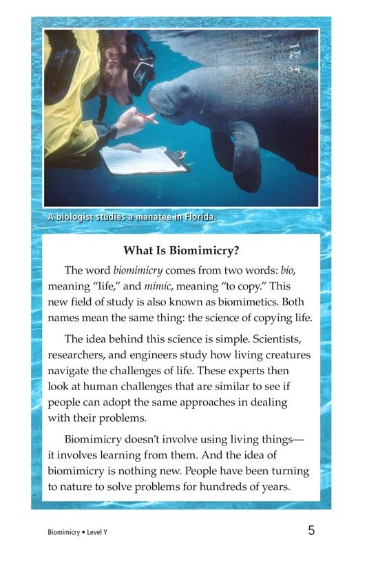 Biomimicry绘本故事第4页