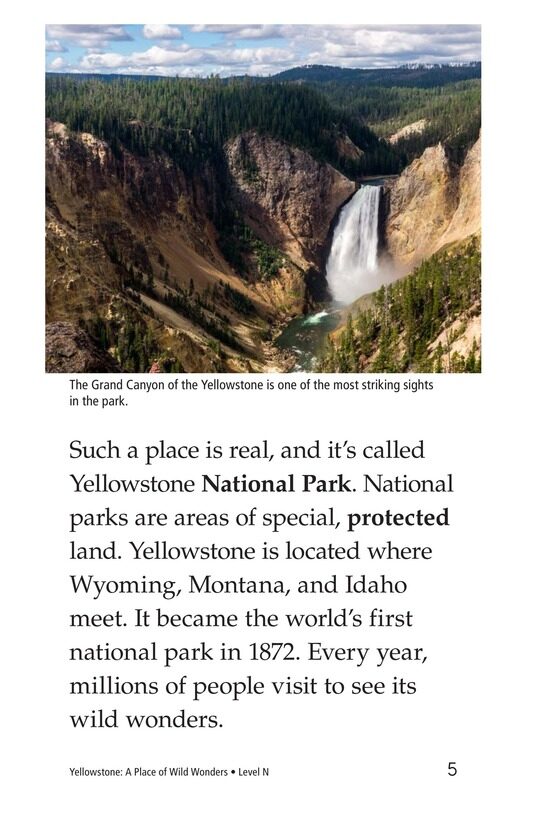Yellowstone A Place of Wild Wonders绘本故事第4页