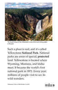 Yellowstone A Place of Wild Wonders绘本故事第4页