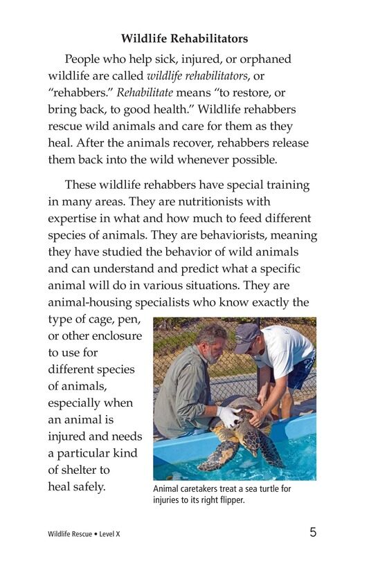 Wildlife Rescue绘本故事第4页