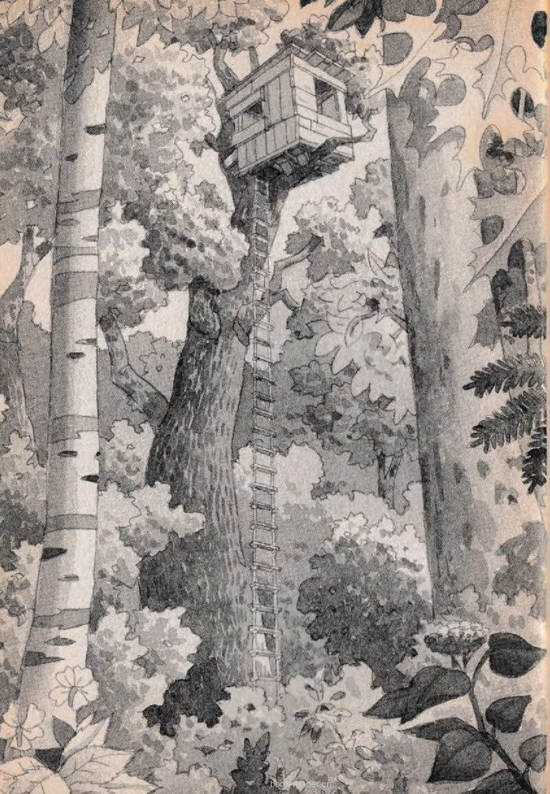 01 The“M” Things绘本故事第3页