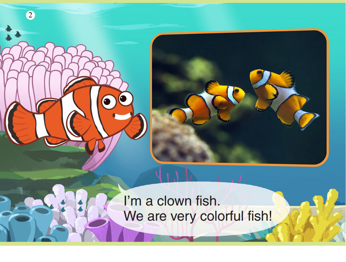 Clown Fish绘本故事第3页