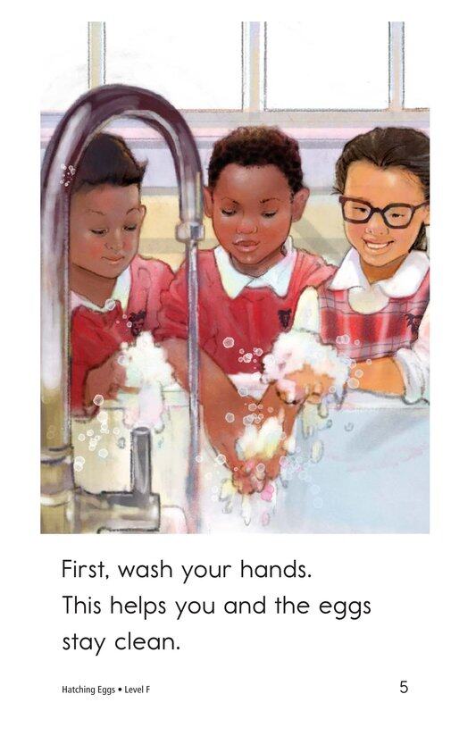 Hatching Eggs绘本故事第5页