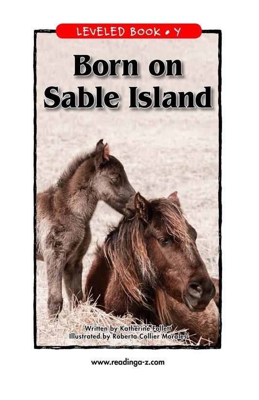 Born on Sable Island绘本故事第2页