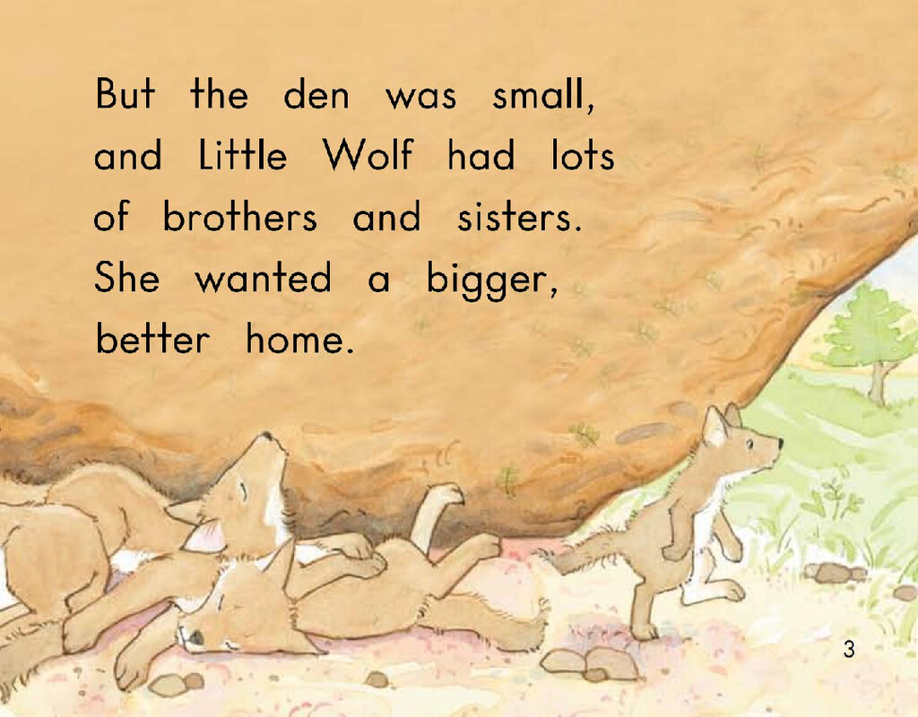 Little Wolf's New Home绘本故事第4页