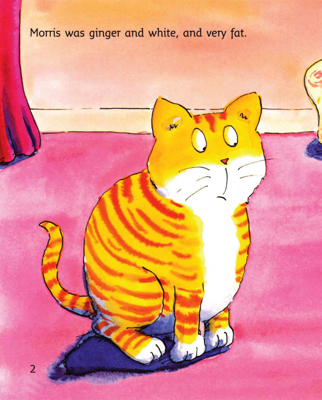 Morris Plays Hide and Seek绘本故事第3页