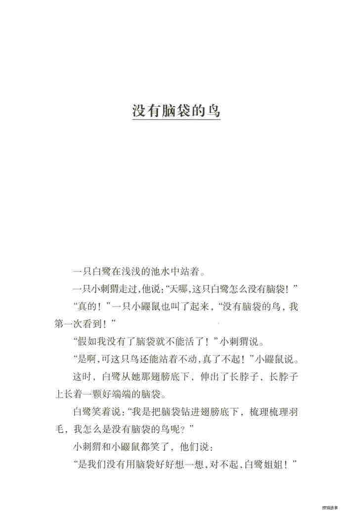 没有脑袋的鸟