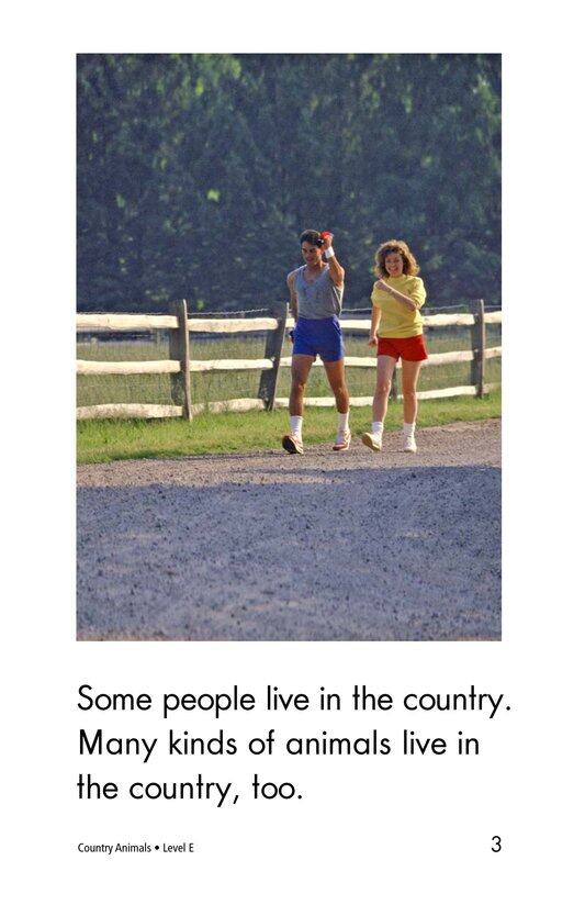 Country Animals绘本故事第3页