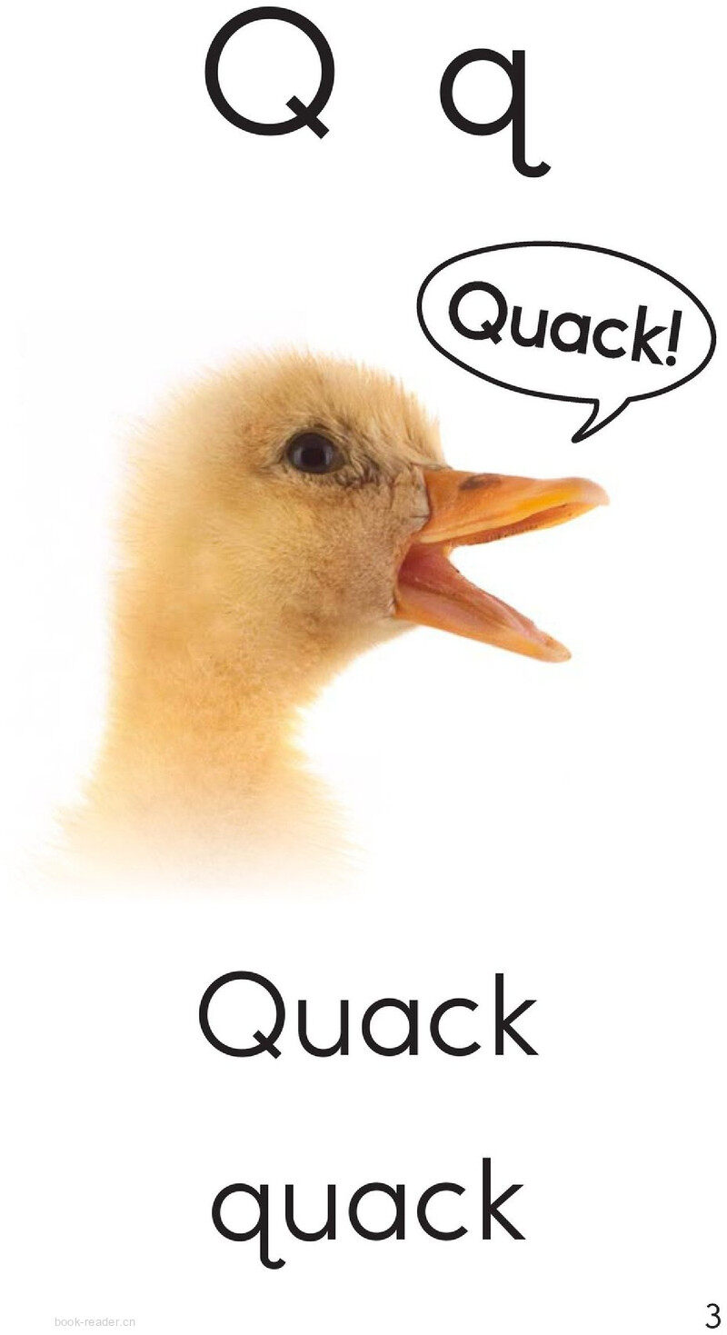 Letter Q绘本故事第3页