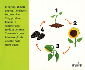The Gardening Year绘本故事第4页