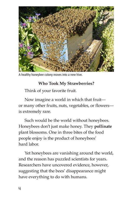 The Case of the Disappearing Honeybees绘本故事第3页