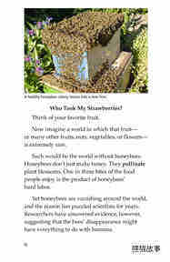 The Case of the Disappearing Honeybees绘本故事第3页