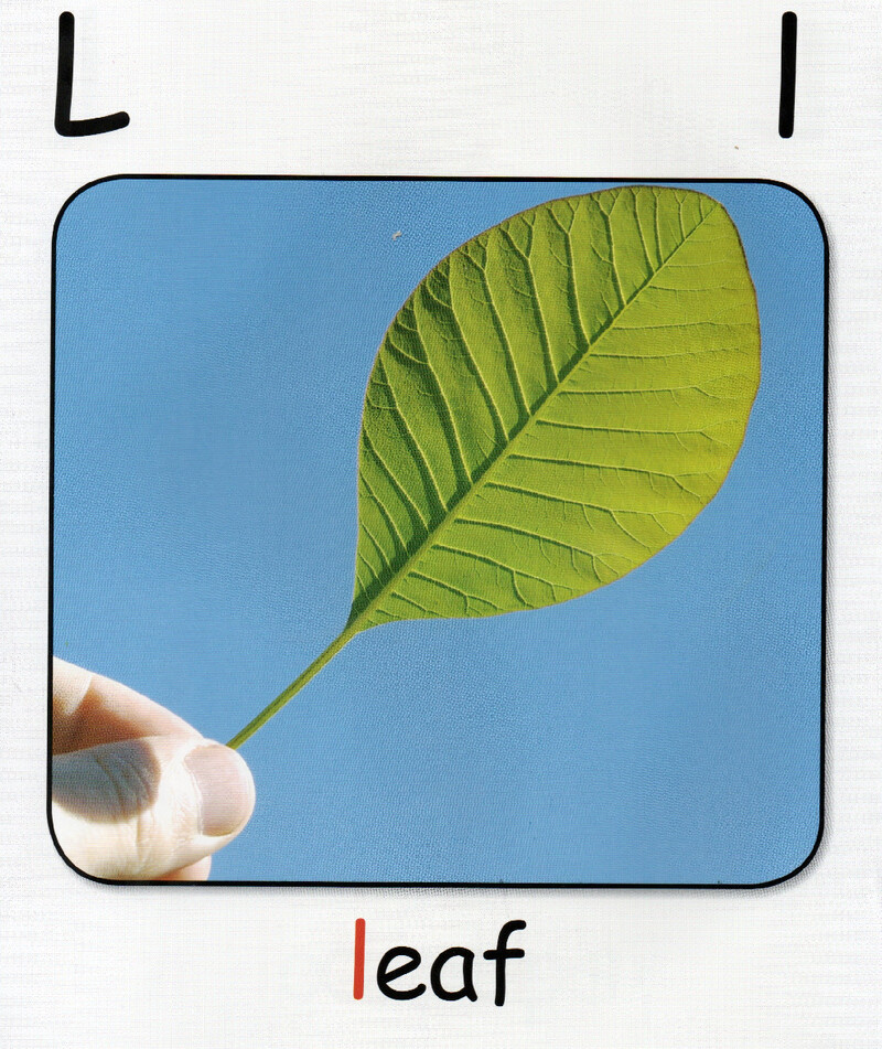 L绘本故事第4页