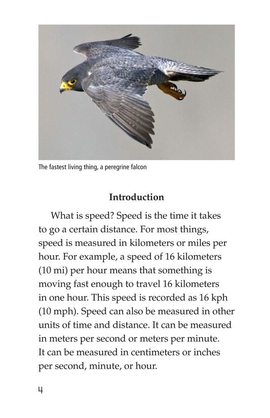 Speed绘本故事第3页