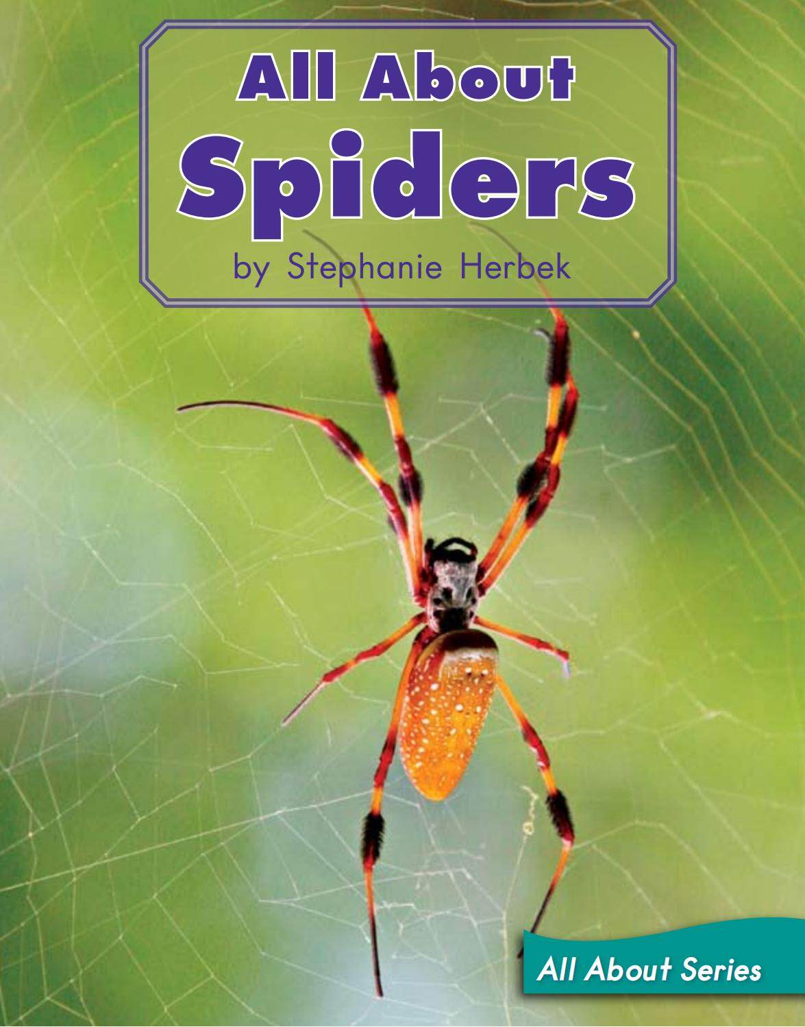 All About Spiders绘本故事第2页