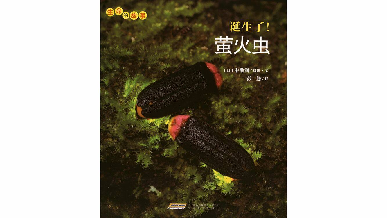 诞生了！萤火虫绘本故事第2页