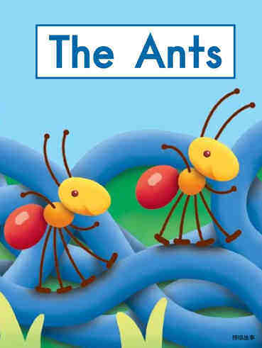 The Ants