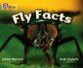 Fly Facts