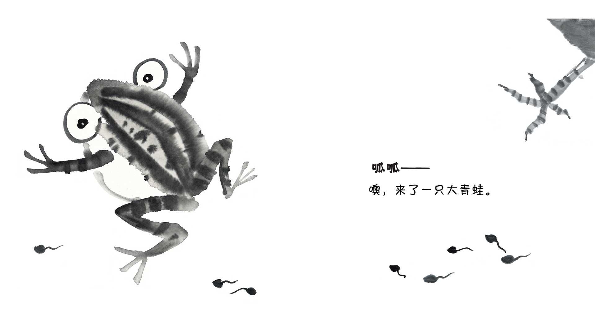 变变绘本故事第5页