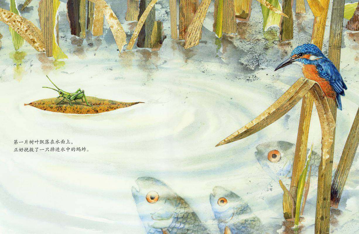 绘本花园：风中的树叶绘本故事第4页